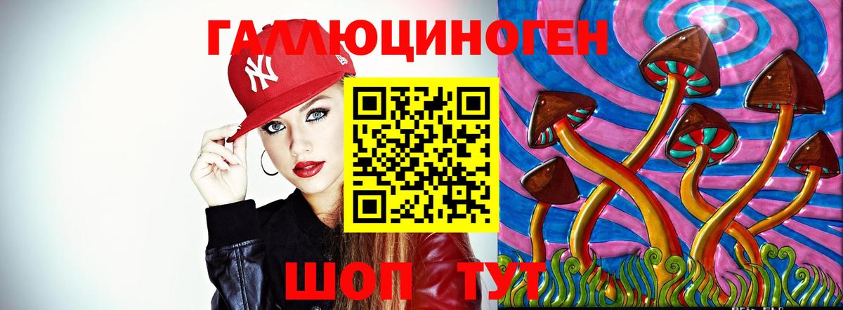 Псилоцибиновые грибы Psilocybe  Псилоцибиновые грибы MAGIC MUSHROOMS  Нягань 